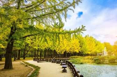 Nami Island