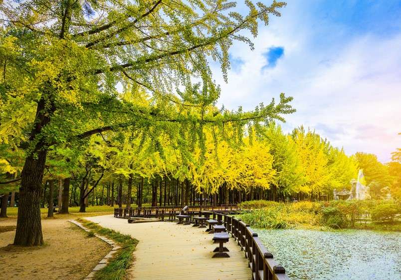 Nami Island