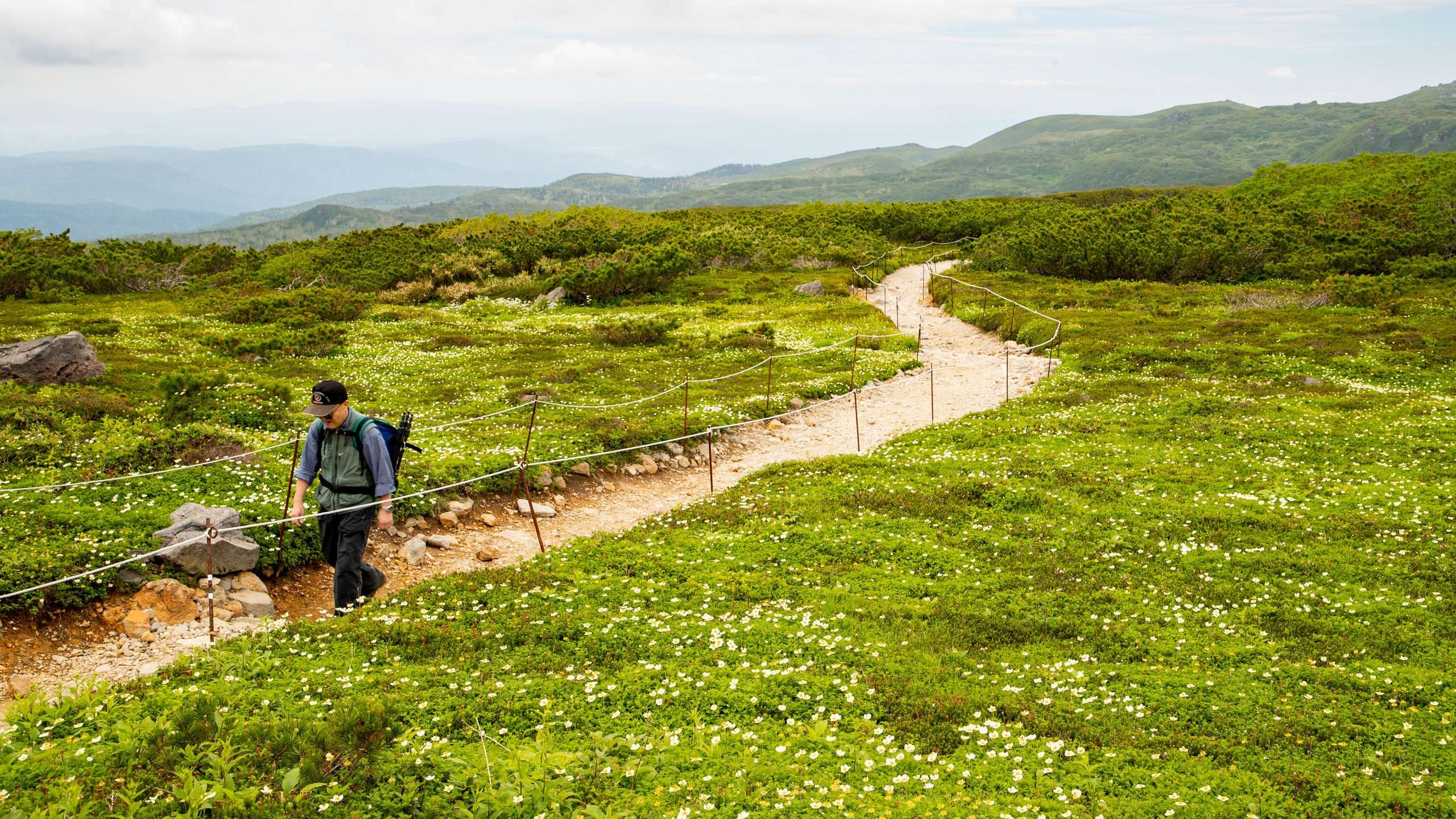 wisata di Hokkaido saat musim gugur