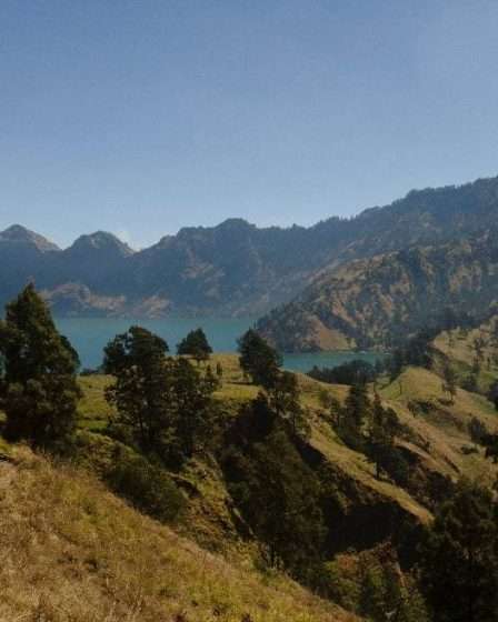 Best Rinjani Trekking Company