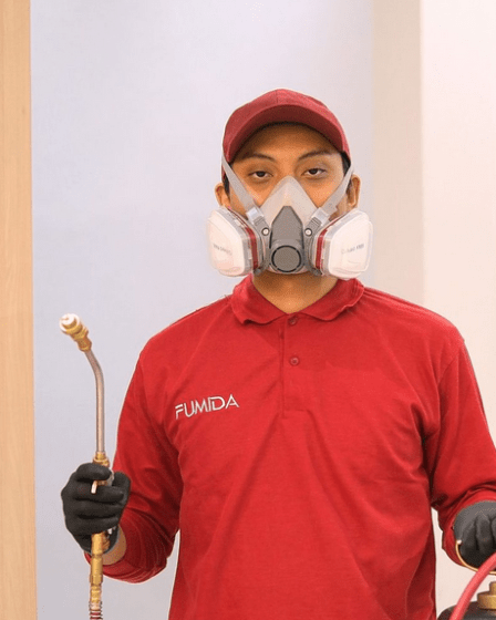 Pentingnya Jasa Anti Rayap Fumida dan Waktu Terbaik untuk Memanggilnya