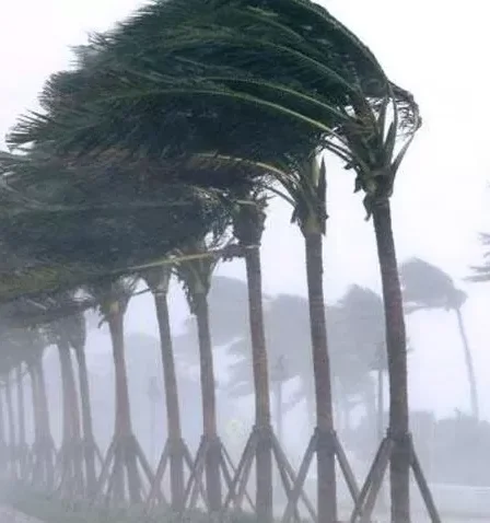 waspada hujan dan angin kencang